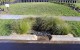 Humes rain garden surrounds installed in Kumeu